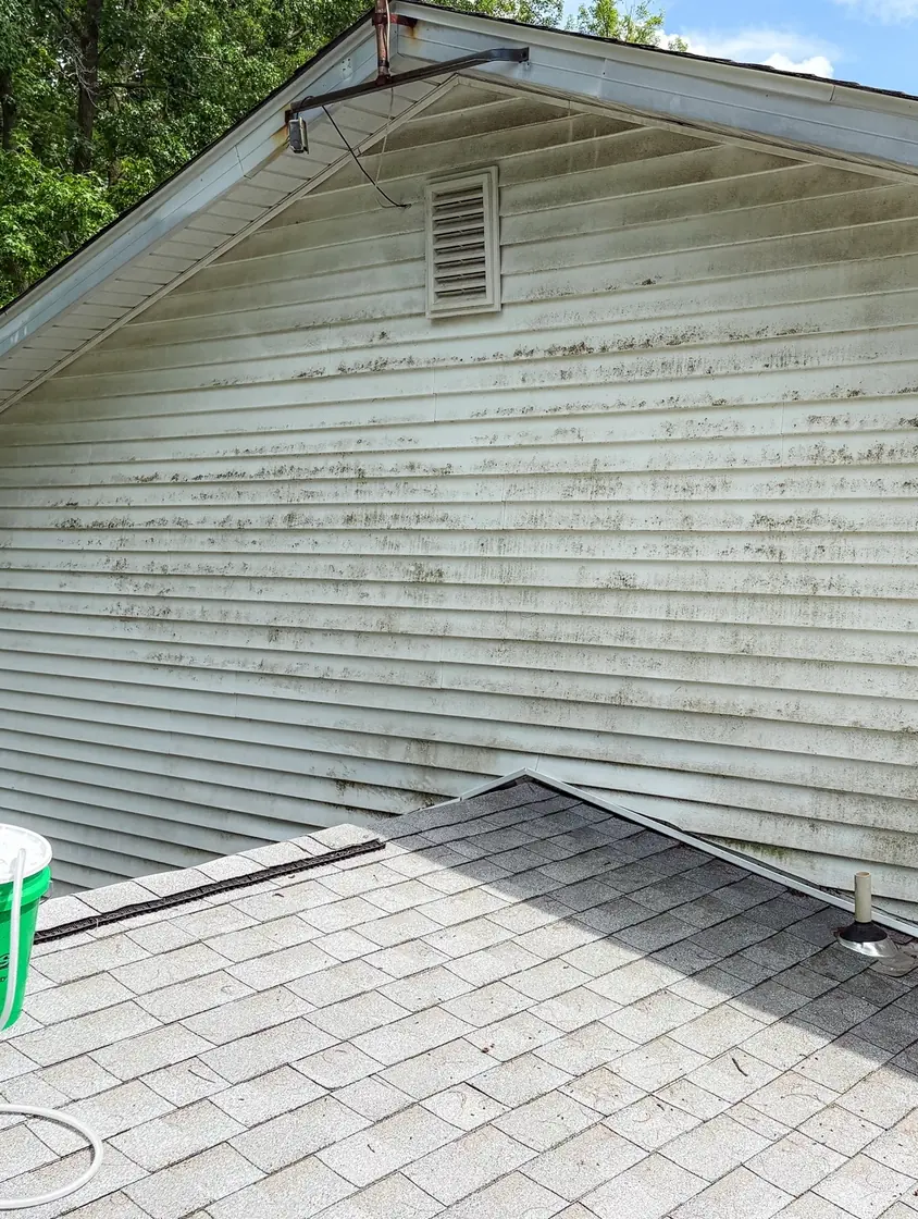 Home siding before power washing — green algae and dirt streaks